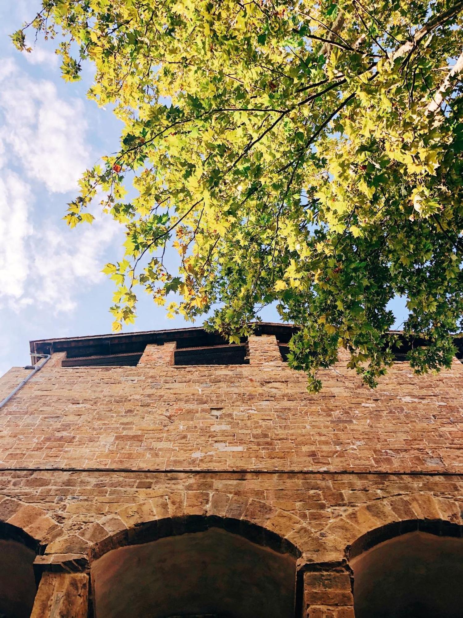 D'arte, L'oasi * Florença